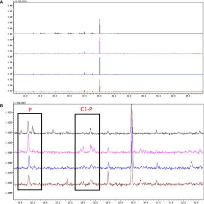 Temporal and spatial variation of petroleum hydrocarbons and microbial communities during static release of oil pollution sediments